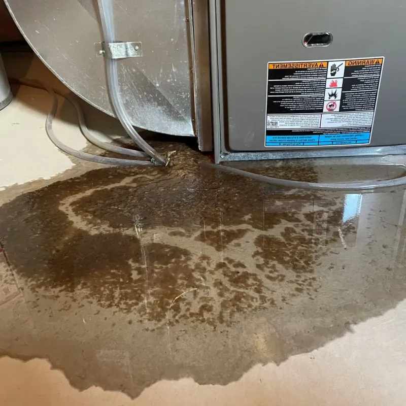 Pipe Burst and Leak Restoration in Oakville, CT