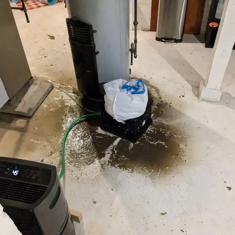Sewage Backup Cleanup Service in Oakville, CT
